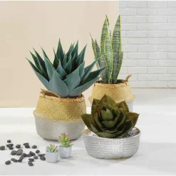 DecoWoerner Plantas De Interior><noscript><img width=