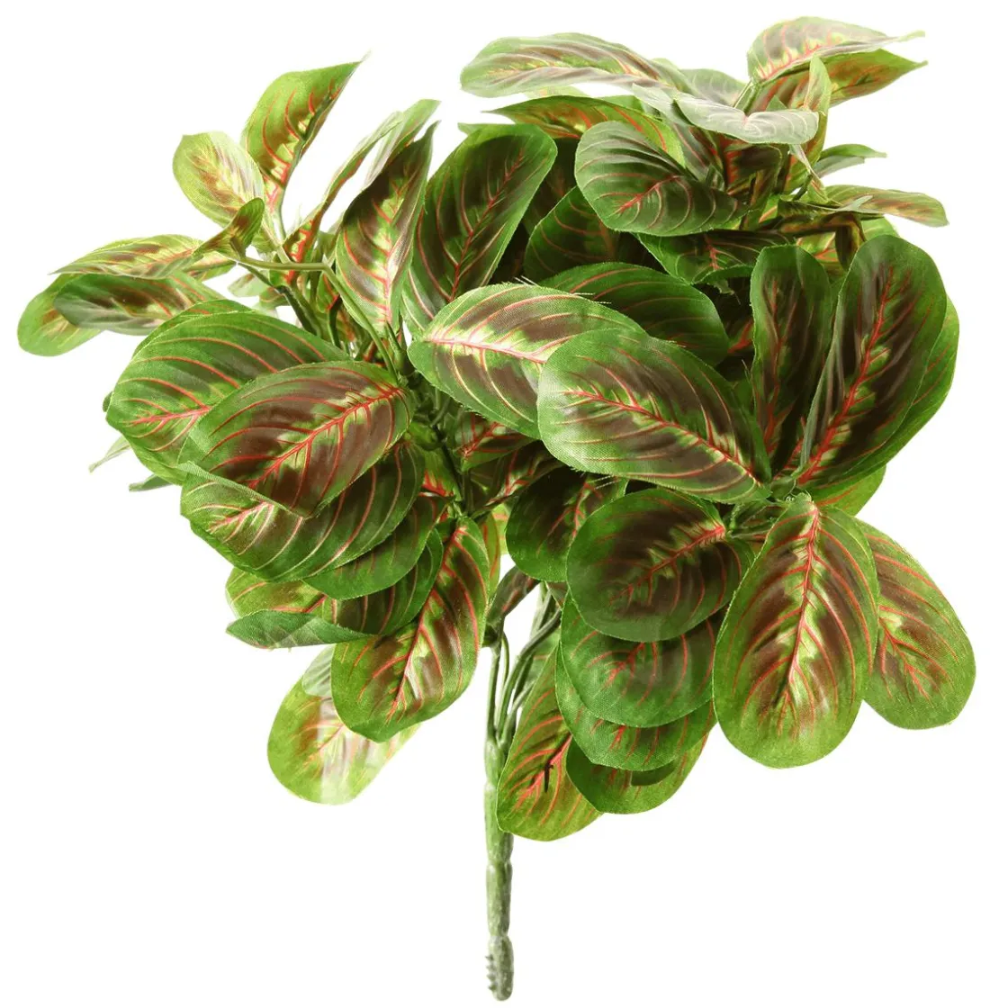 DecoWoerner Plantas Verdes|Hojas>Arbusto Marantea Artificial, 30 Cm