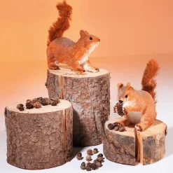 DecoWoerner Decoración De Animales|Decoración De Otoño><noscript><img width=