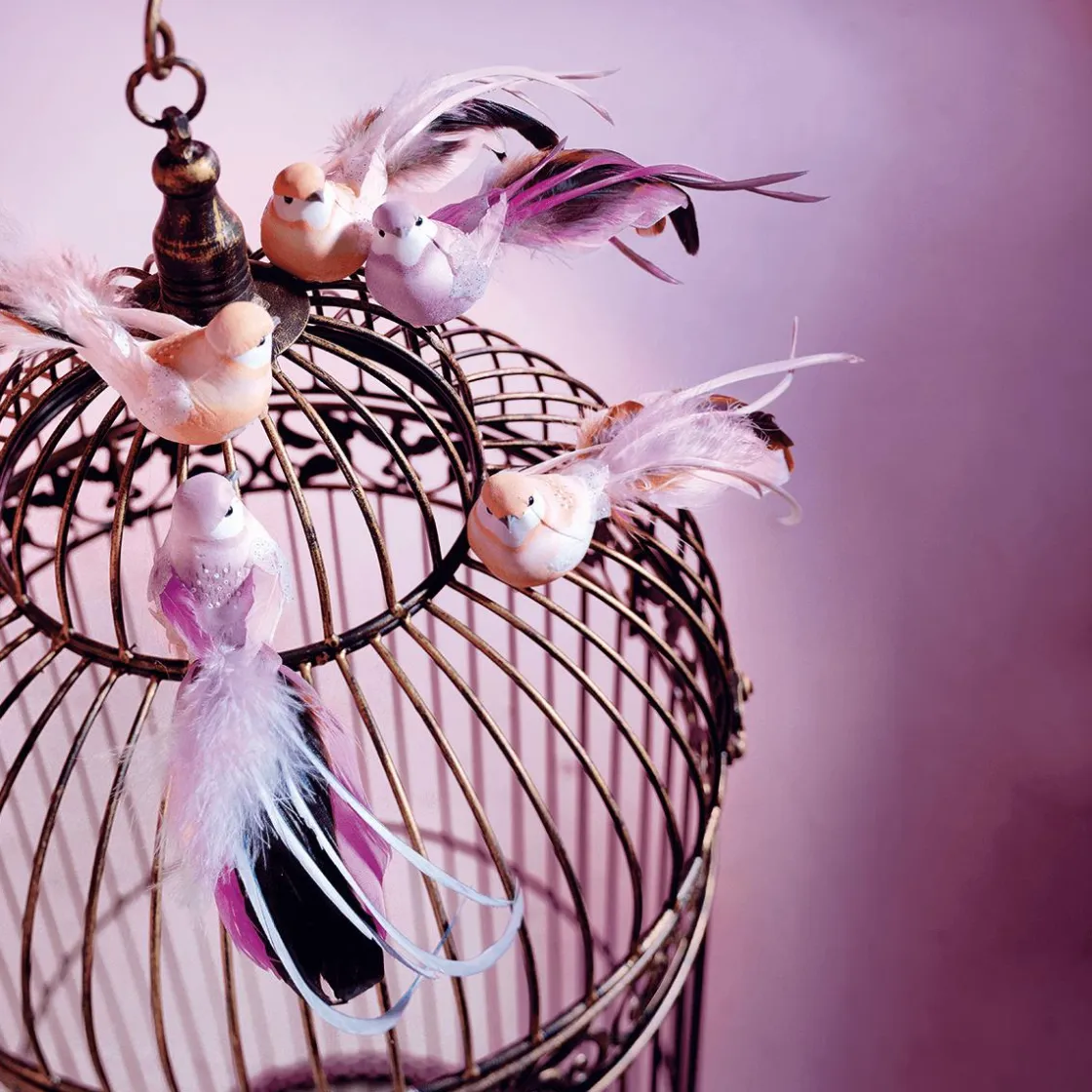 DecoWoerner Decoración De Animales|Decoración De Primavera>Aves Decorativas, Color , 10 Cm, 6 Piezas
