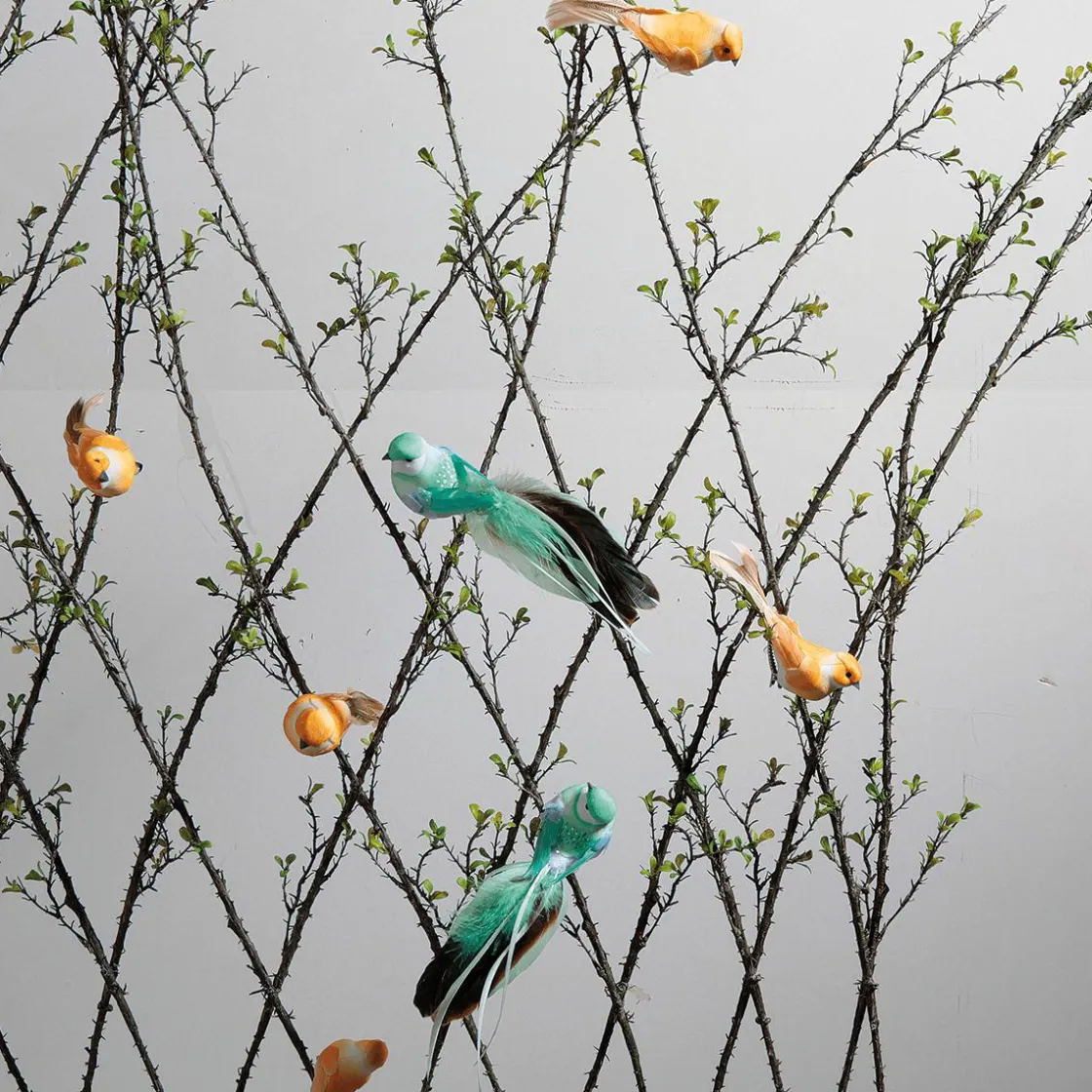 DecoWoerner Decoración De Animales|Decoración De Primavera>Aves Decorativas, Color , 10 Cm, 6 Piezas