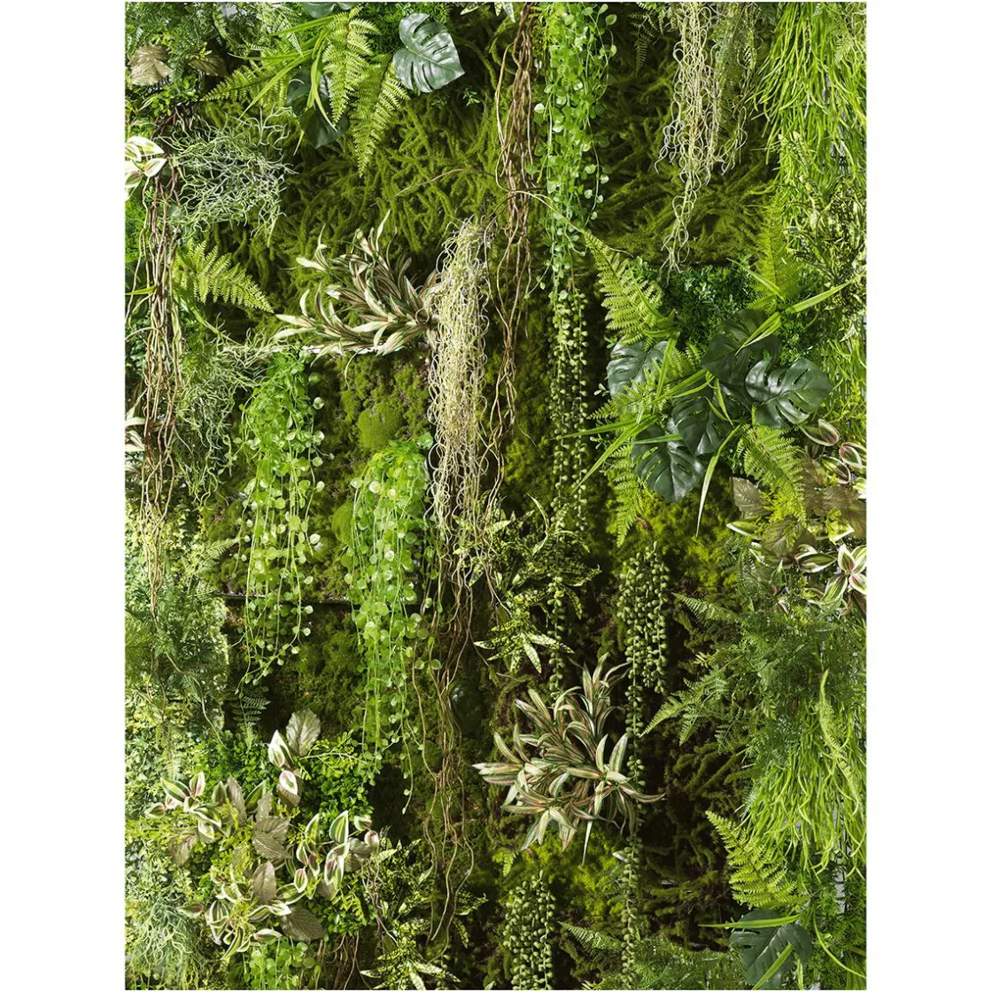 DecoWoerner Bandera Xxl>Bandera De Tela XL "Green Plant Wall" De Tela De Bandera Ignífuga De 150 X 200 Cm