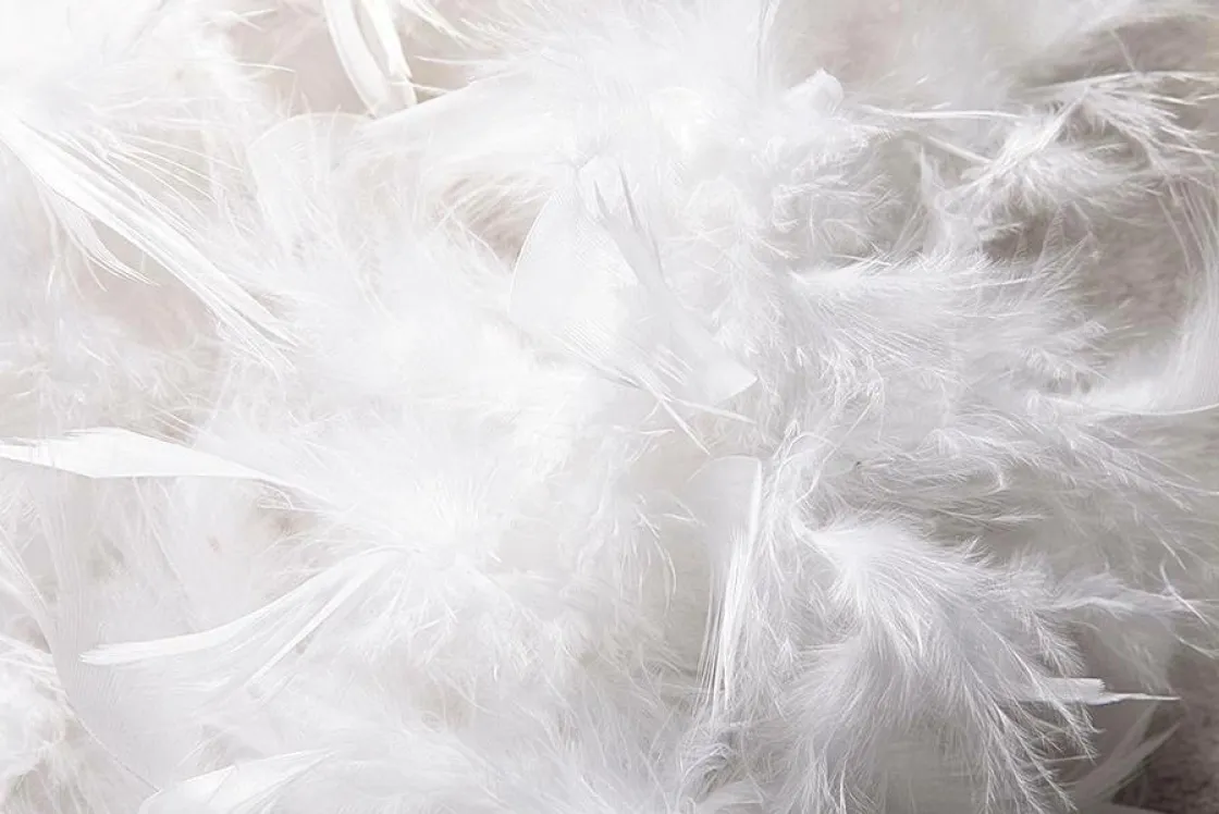DecoWoerner Decoración Temática>Boa De Plumas, Blanca, 180 Cm