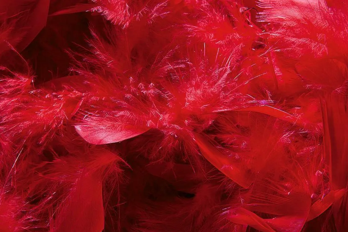 DecoWoerner Decoración Temática>Boa De Plumas, Roja, 180 Cm