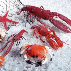 DecoWoerner Pescados Y Mariscos><noscript><img width=