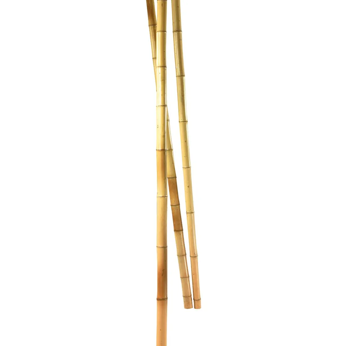 DecoWoerner Decoración Natural|Decoración Temática>Cañas De Bambú Natural, 3 Piezas