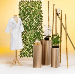 DecoWoerner Decoración Natural|Decoración Temática><noscript><img width=