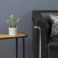 DecoWoerner Plantas De Interior><noscript><img width=