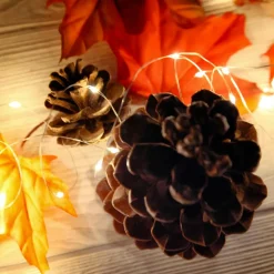 DecoWoerner Luces De Navidad><noscript><img width=