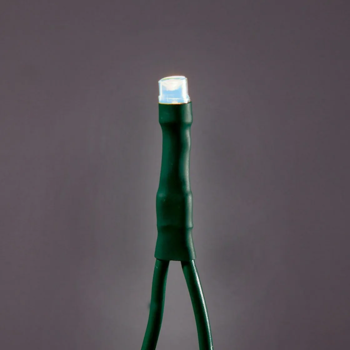 DecoWoerner Luces De Navidad>Cadena Portacables LED Para Interiores, 24 M Sin Cable De Alimentación, Verde