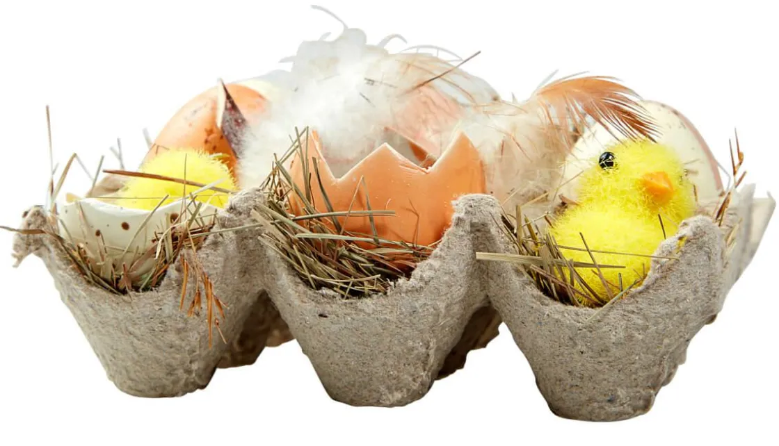 DecoWoerner Decoración De Pascua>Caja De Huevos Y Pollitos