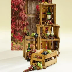 DecoWoerner Decoración Natural|Decoración Temática><noscript><img width=
