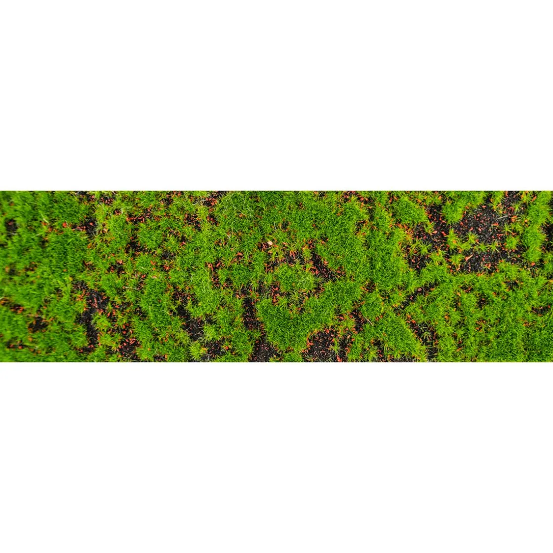DecoWoerner Decoración Natural|Decoración De Otoño>Camino De Mesa "Alfombra De Musgo" 1 Metro