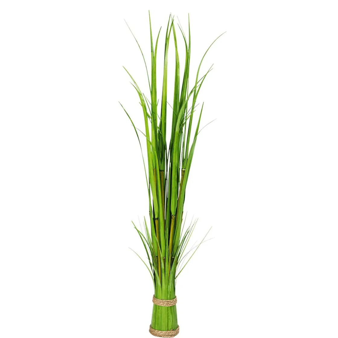 DecoWoerner Decoración De Primavera|Hierba Decorativa>Carrizo Decorativo 90 Cm