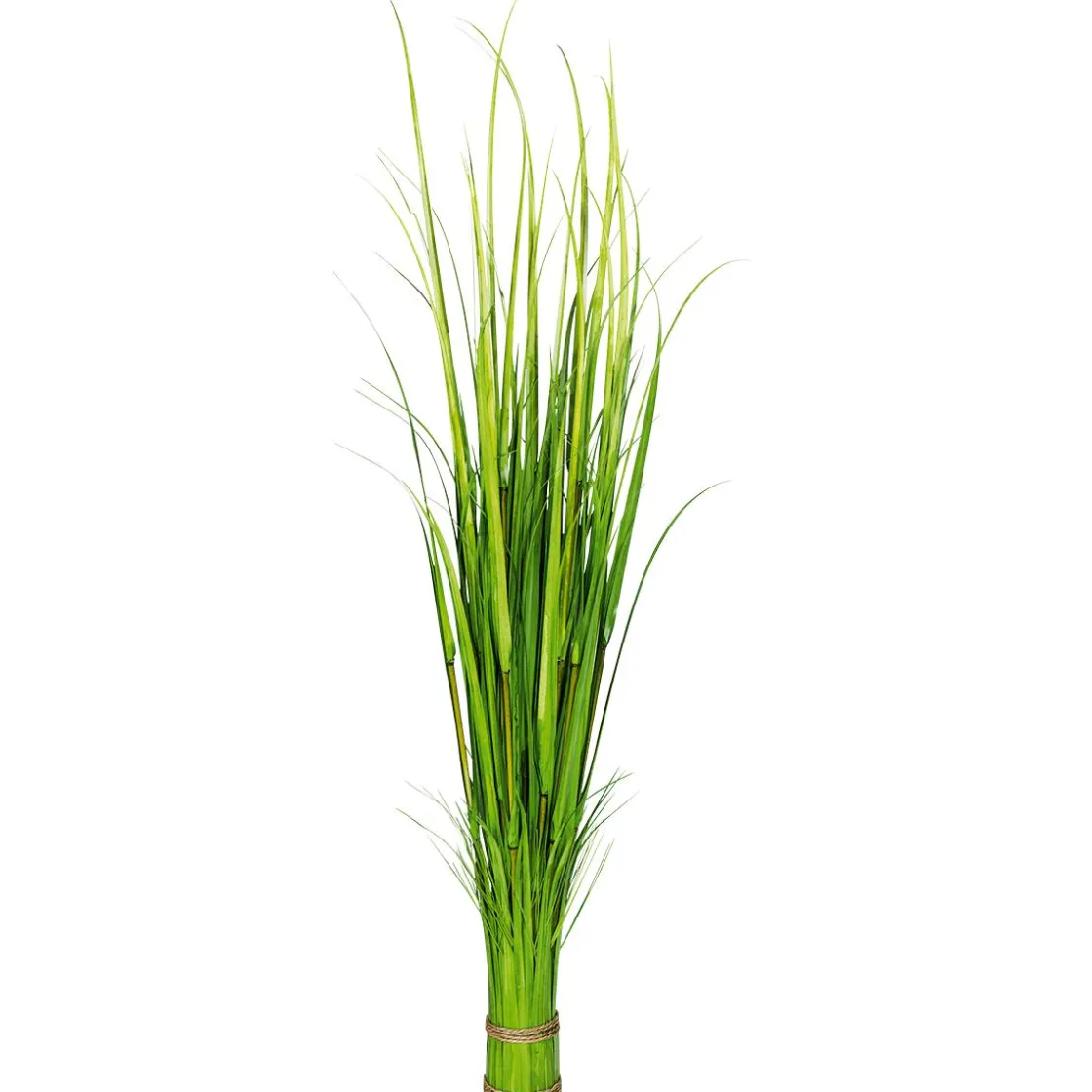 DecoWoerner Decoración De Primavera|Hierba Decorativa>Carrizo Decorativo, 150 Cm