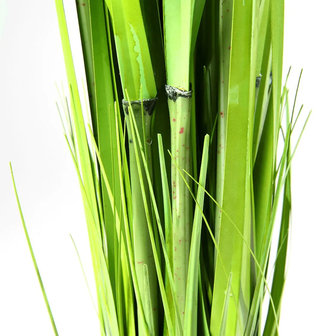 DecoWoerner Decoración De Primavera|Hierba Decorativa>Carrizo Decorativo, 150 Cm