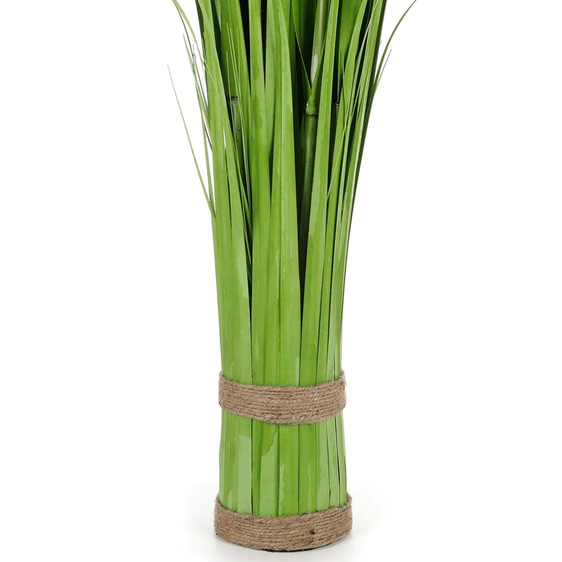 DecoWoerner Decoración De Primavera|Hierba Decorativa>Carrizo Decorativo, 150 Cm