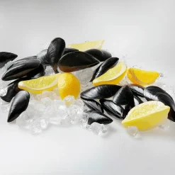 DecoWoerner Pescados Y Mariscos><noscript><img width=