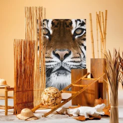 DecoWoerner Decoración De Animales><noscript><img width=
