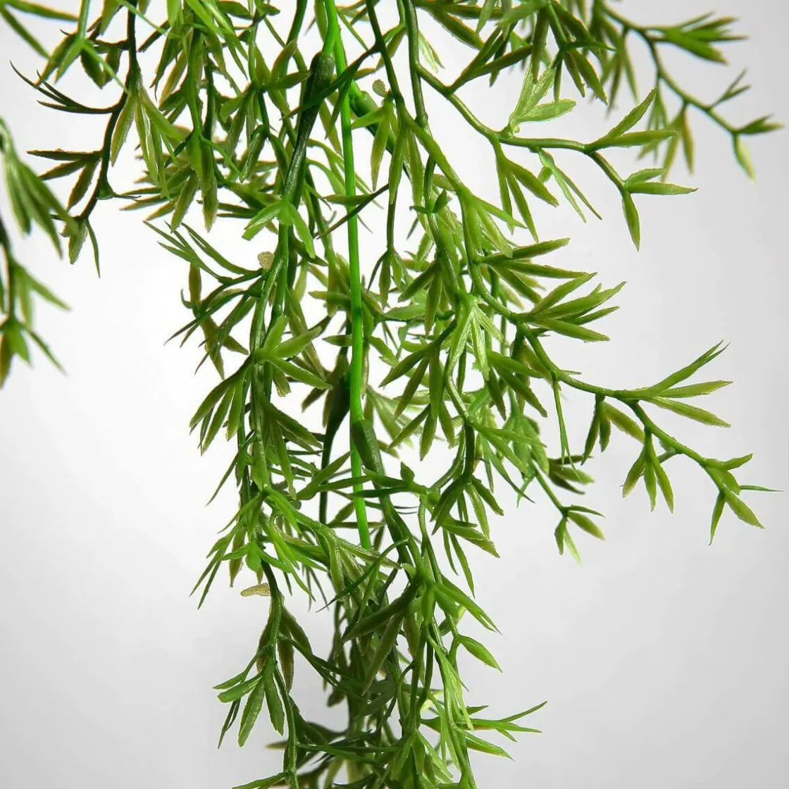 DecoWoerner Plantas Verdes|Plantas Colgantes>Colgador De Plantas Artificiales Espárragos Ornamentales, Claro 84 Cm
