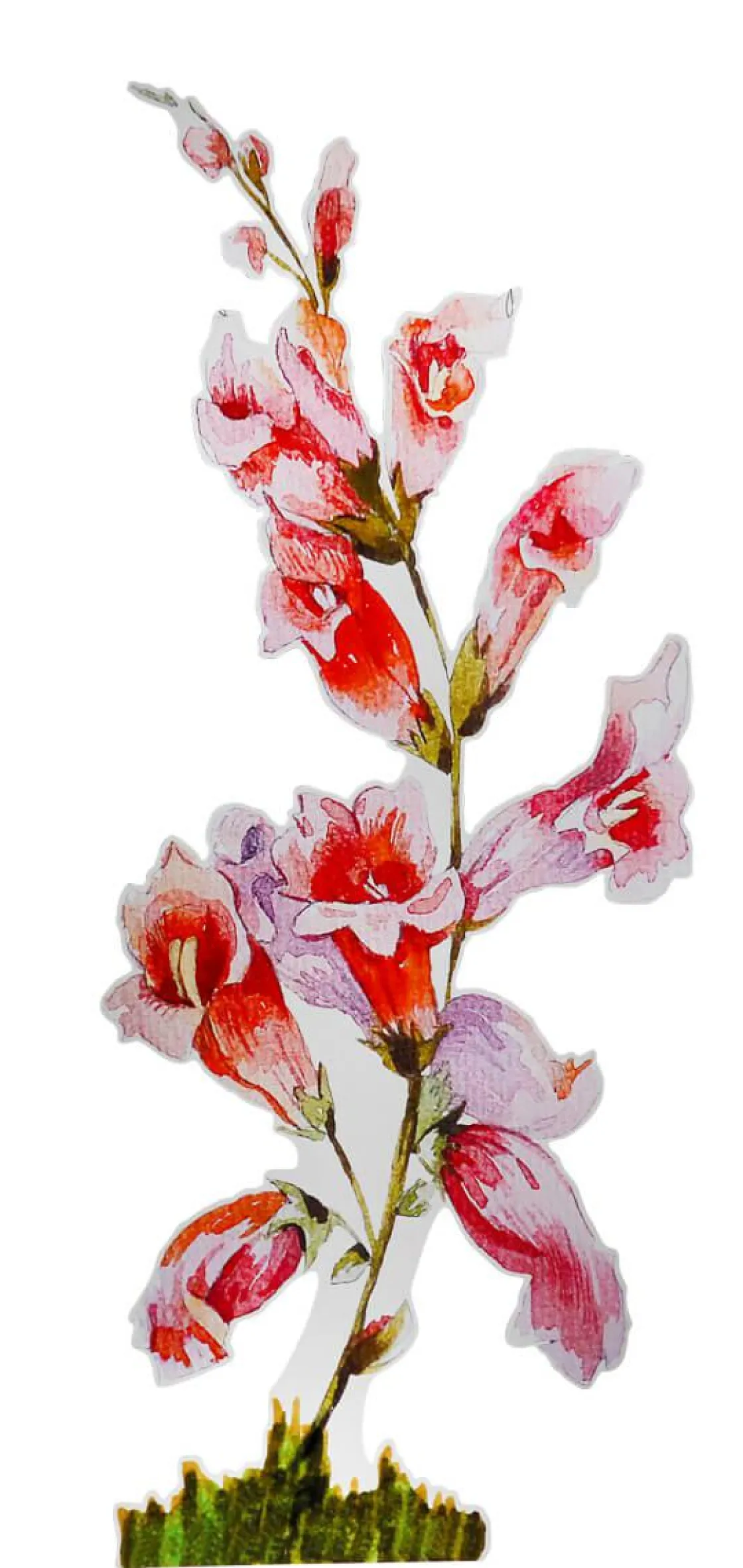 DecoWoerner Decoración De Primavera>Colgante De Exposición "Dedalera" Anchura 156 Cm