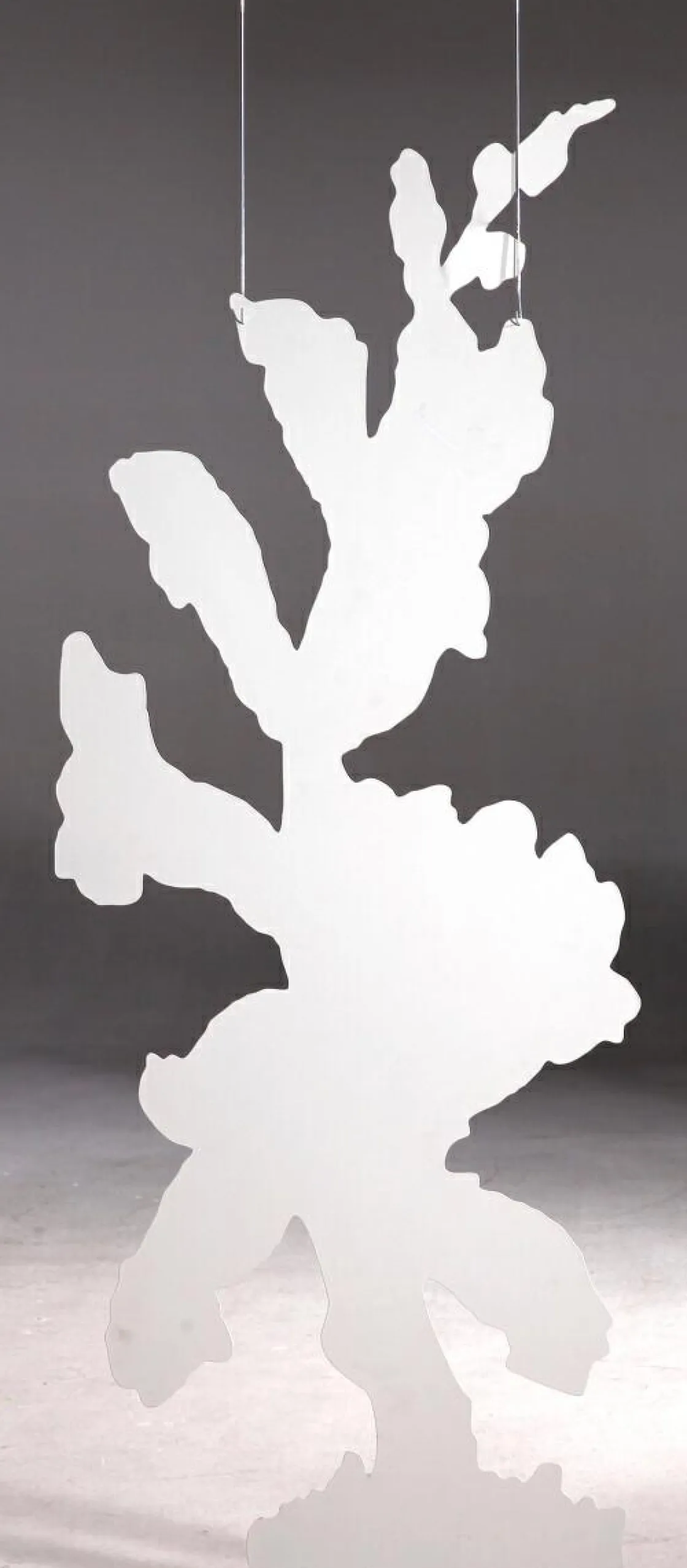 DecoWoerner Decoración De Primavera>Colgante De Exposición "Dedalera" Anchura 156 Cm