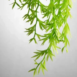 DecoWoerner Plantas Verdes|Plantas Colgantes><noscript><img width=