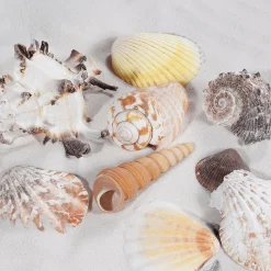 DecoWoerner Decoración Dispersa|Decoración De Verano><noscript><img width=