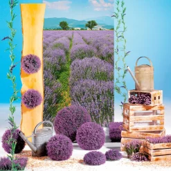 DecoWoerner Expositores Para Tiendas|Decoración Natural><noscript><img width=