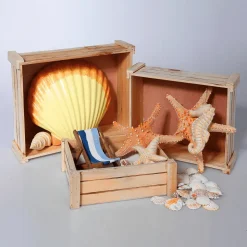 DecoWoerner Expositores Para Tiendas|Macetas Y Artículos De Decoración><noscript><img width=