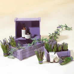 DecoWoerner Expositores Para Tiendas|Macetas Y Artículos De Decoración><noscript><img width=