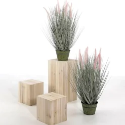 DecoWoerner Expositores Para Tiendas|Decoración Natural><noscript><img width=