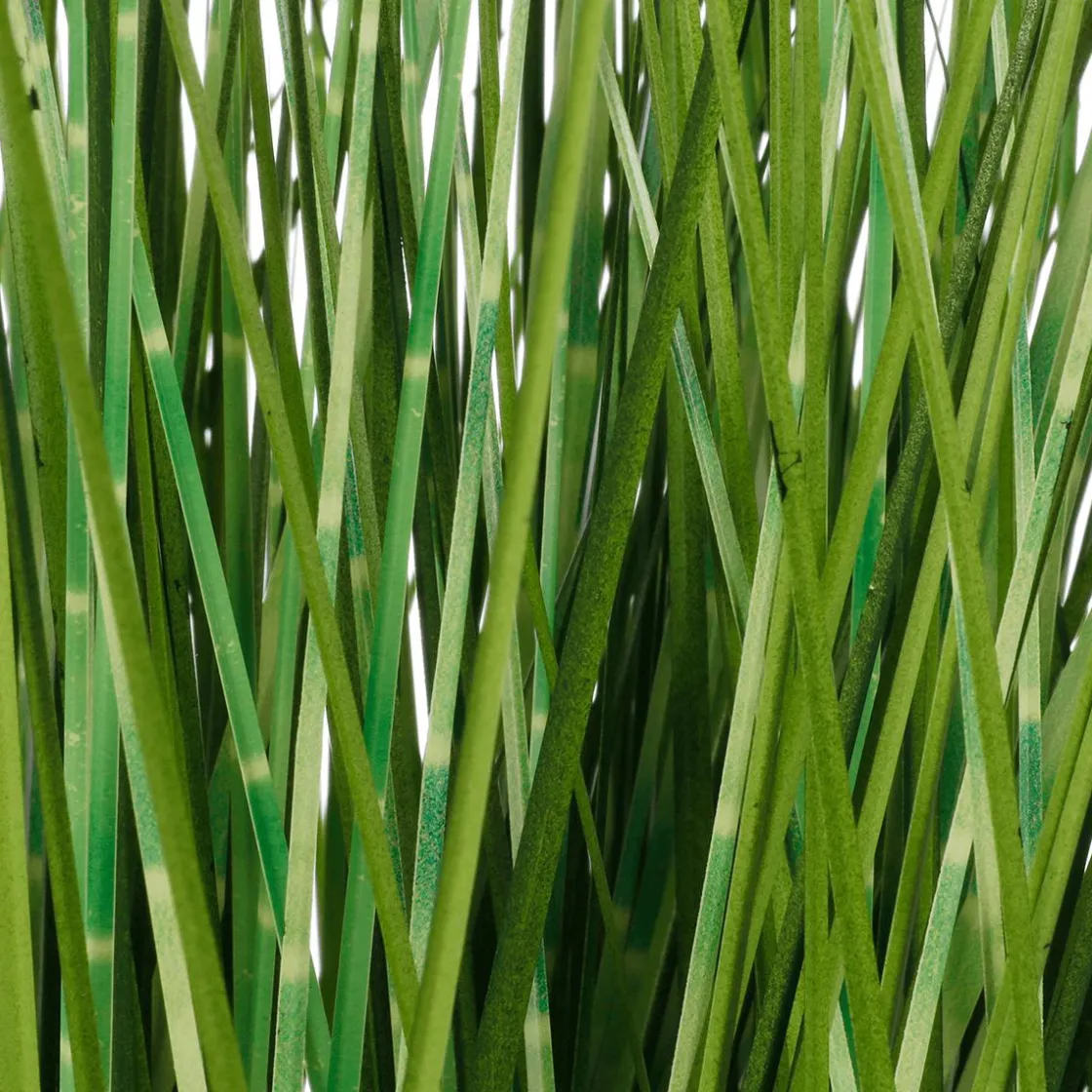 DecoWoerner Hierba Decorativa>Deco Hierba Cebra En Maceta Blanca 50 Cm