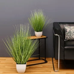 DecoWoerner Hierba Decorativa><noscript><img width=