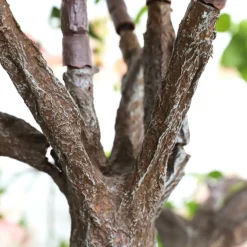 DecoWoerner Decoración De Primavera|Árboles Artificiales><noscript><img width=