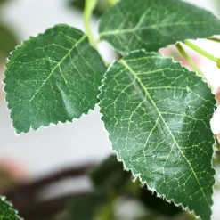 DecoWoerner Decoración De Primavera|Árboles Artificiales><noscript><img width=