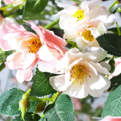 DecoWoerner Decoración De Primavera|Árboles Artificiales><noscript><img width=