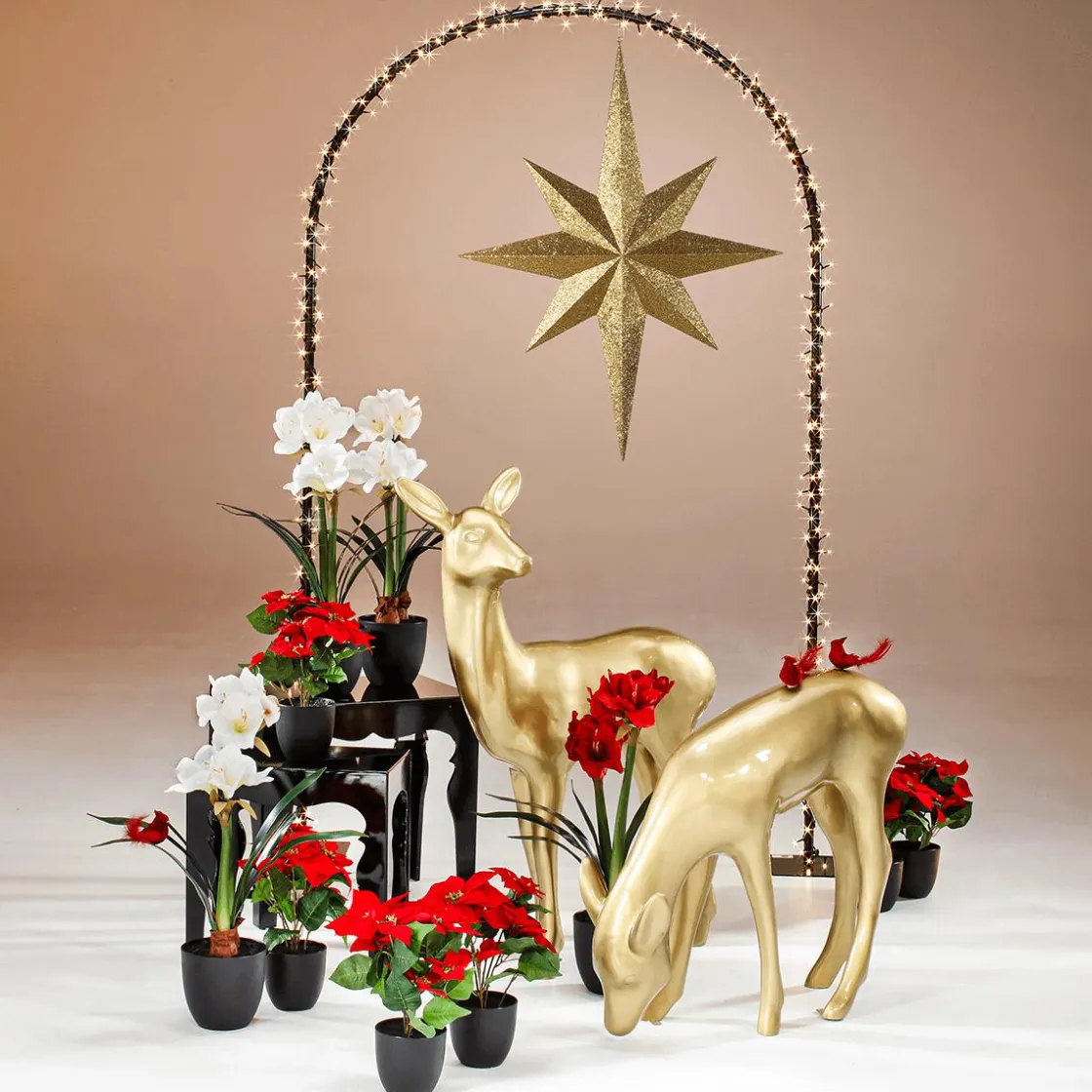 DecoWoerner Estrella De Navidad>Estrella Decorativa XXL 80 Cm