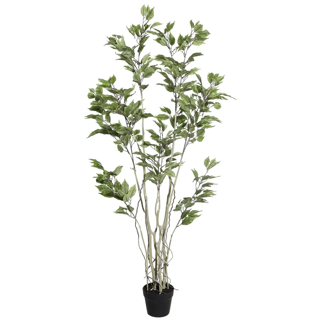 DecoWoerner Plantas Verdes|Plantas De Interior>Ficus Artificial En Maceta