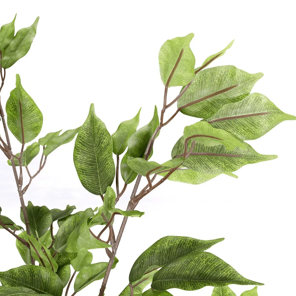 DecoWoerner Plantas Verdes|Plantas De Interior>Ficus Artificial En Maceta