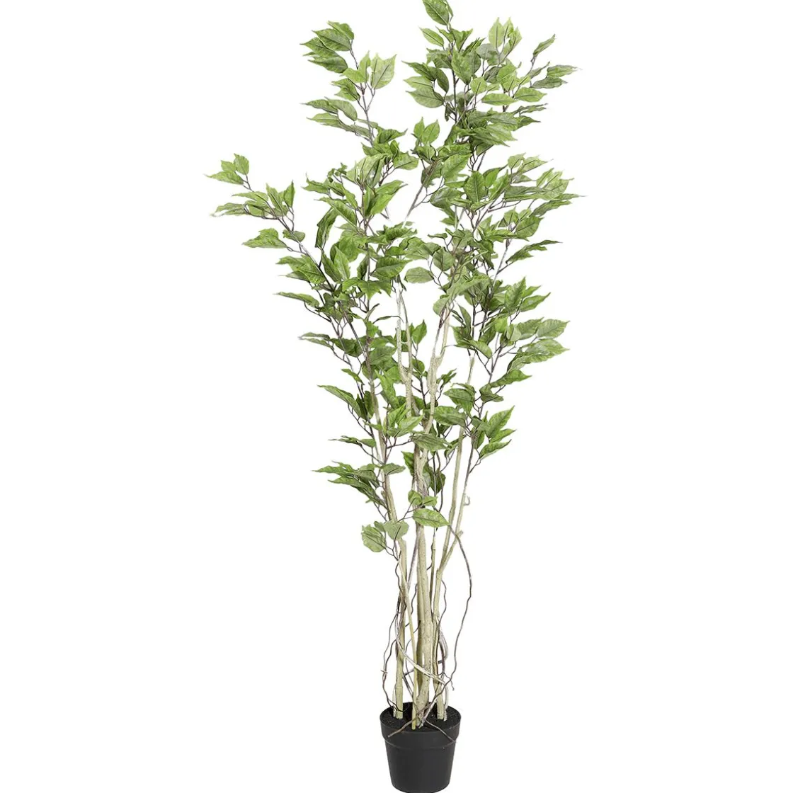 DecoWoerner Plantas Verdes|Plantas De Interior>Ficus Artificial En Maceta