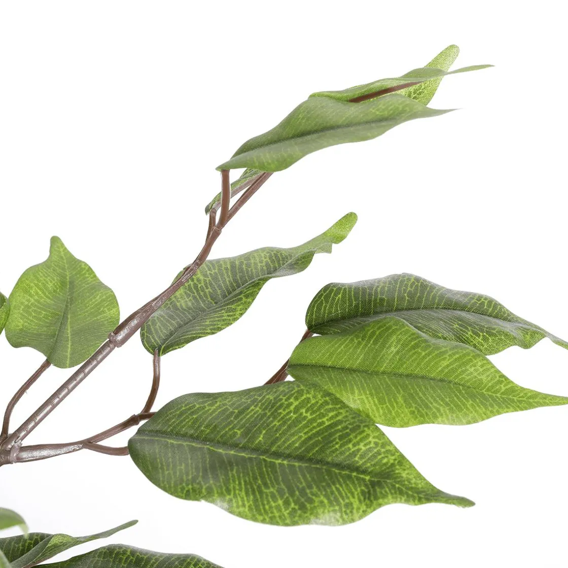 DecoWoerner Plantas Verdes|Plantas De Interior>Ficus Artificial En Maceta
