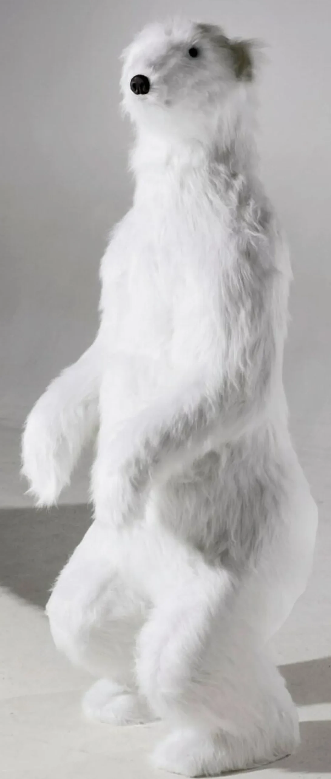 DecoWoerner Decoración De Animales|Decoración De Invierno>Figura Animal De Tamaño Natural Oso Polar, Altura: 190 Cm