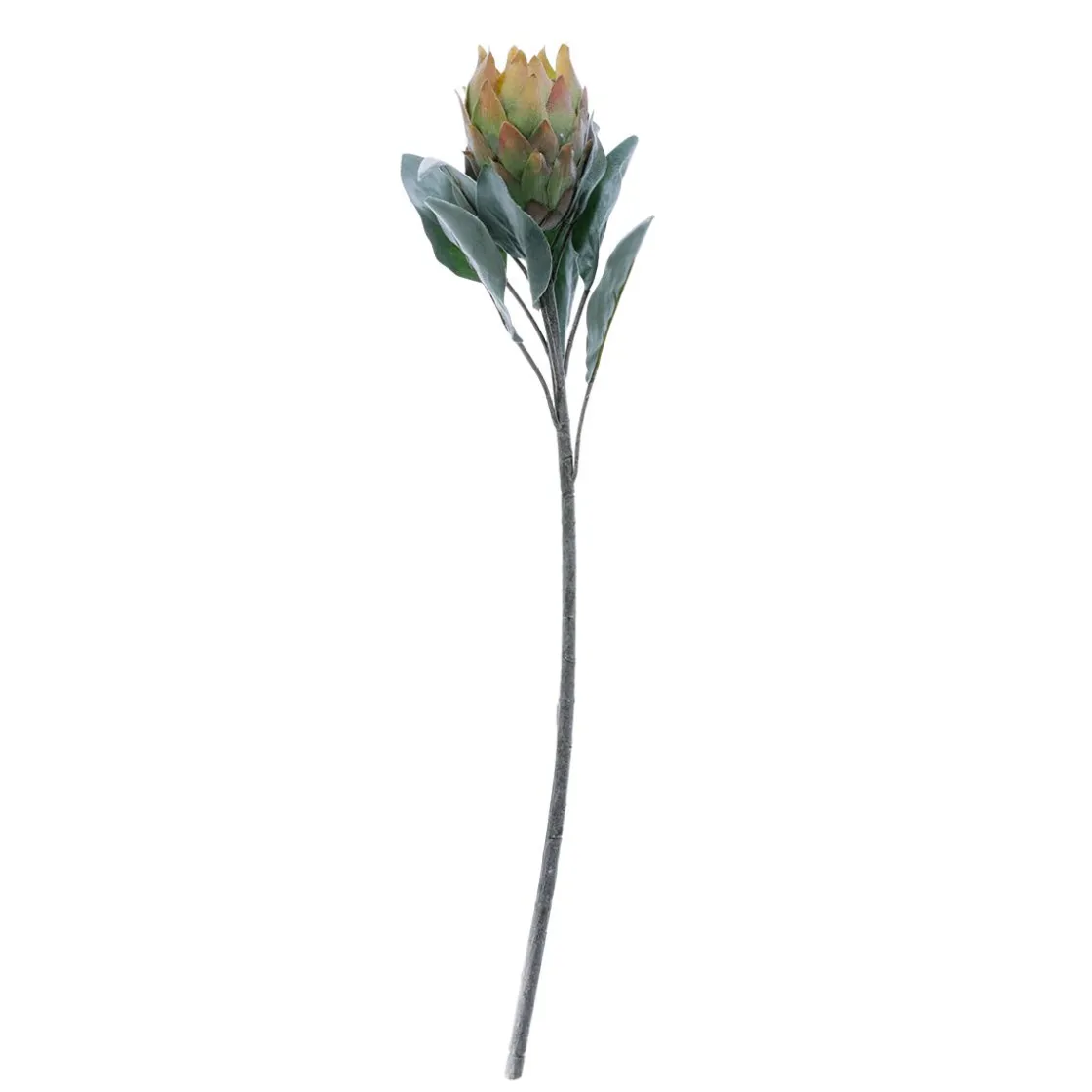 DecoWoerner Decoración De Otoño|Flores Artificiales>Flor Artificial Protea , 72 Cm