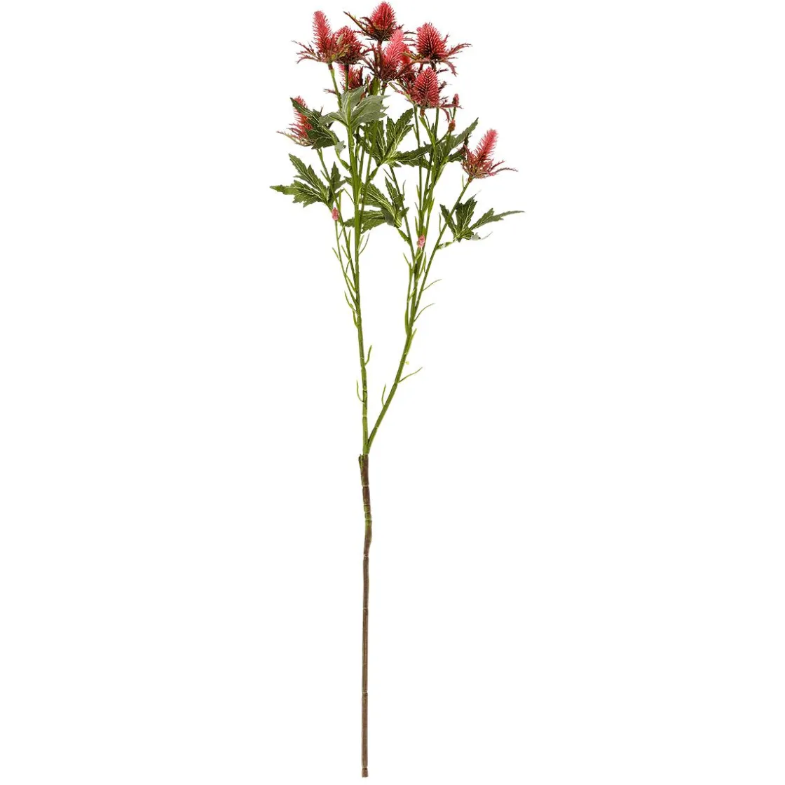 DecoWoerner Decoración De Otoño|Flores Artificiales>Flor Artificial Rama De Cardo , 68 Cm De Largo