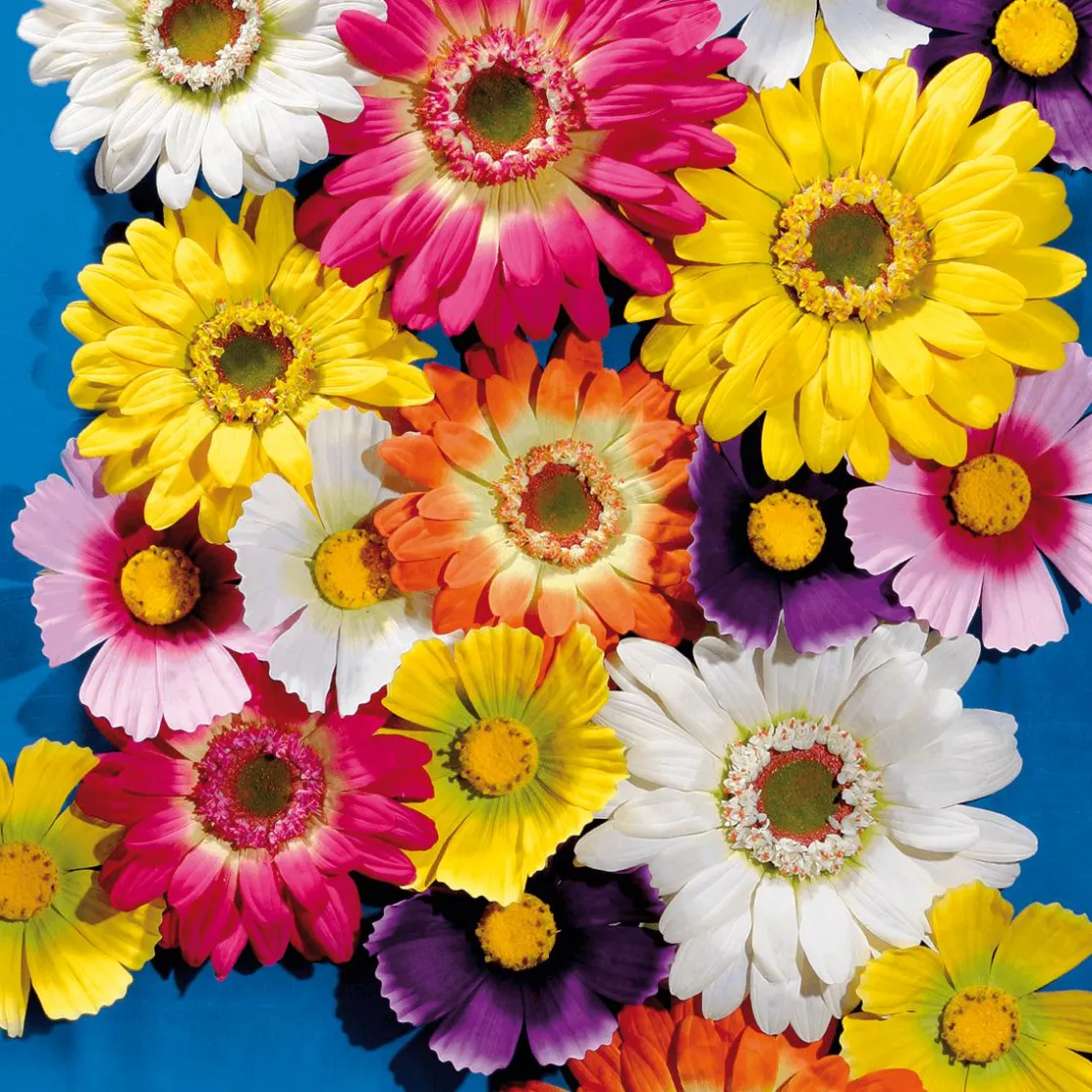 DecoWoerner Decoración De Primavera|Cabezas De Flores Artificiales>Flor De Gerbera Gigante, Ø 45 Cm, Color