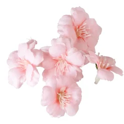 DecoWoerner Decoración Dispersa|Decoración Temática><noscript><img width=