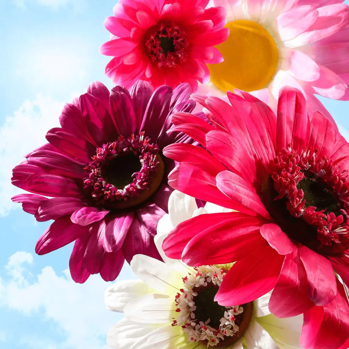 DecoWoerner Decoración De Primavera|Cabezas De Flores Artificiales>Gerbera Gigante Morado, 45 Cm Ø