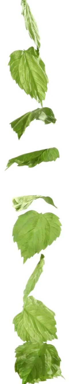 DecoWoerner Decoración De Primavera|Decoración De Otoño><noscript><img width=