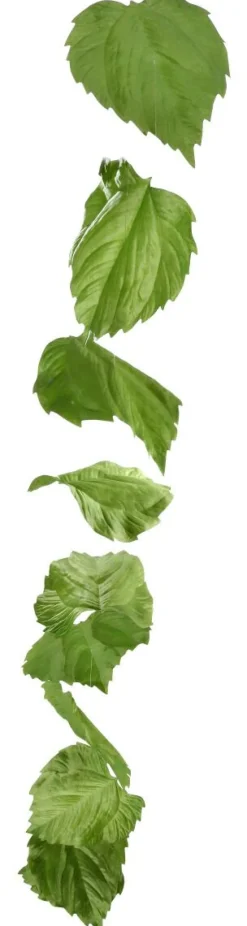 DecoWoerner Decoración De Primavera|Decoración De Otoño><noscript><img width=